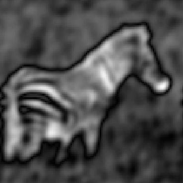 Photo of zebra after Gabor filtering